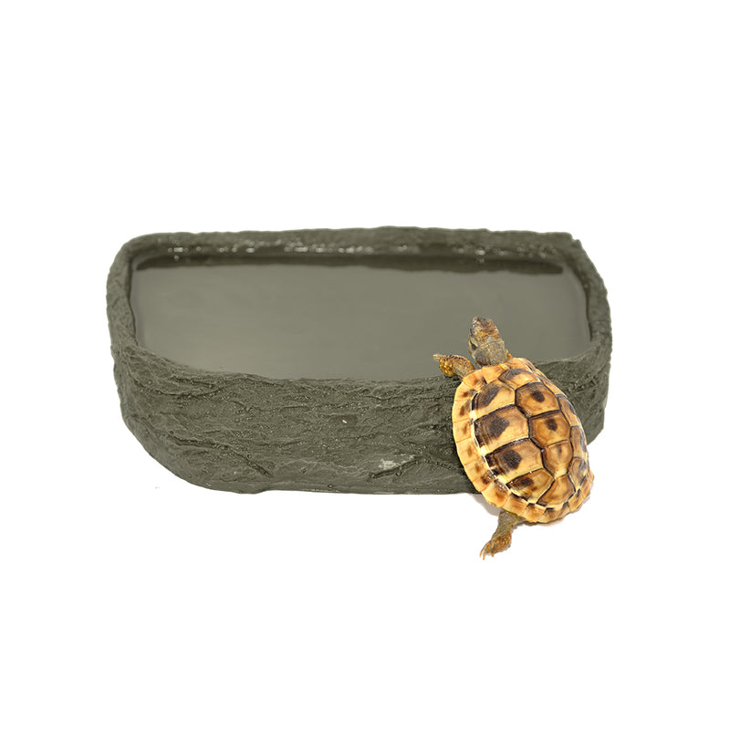 HabiStat Tortoise Pool, Medium