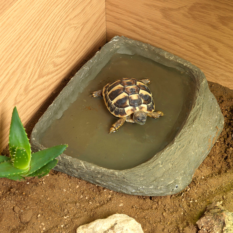 HabiStat Tortoise Pool, Medium