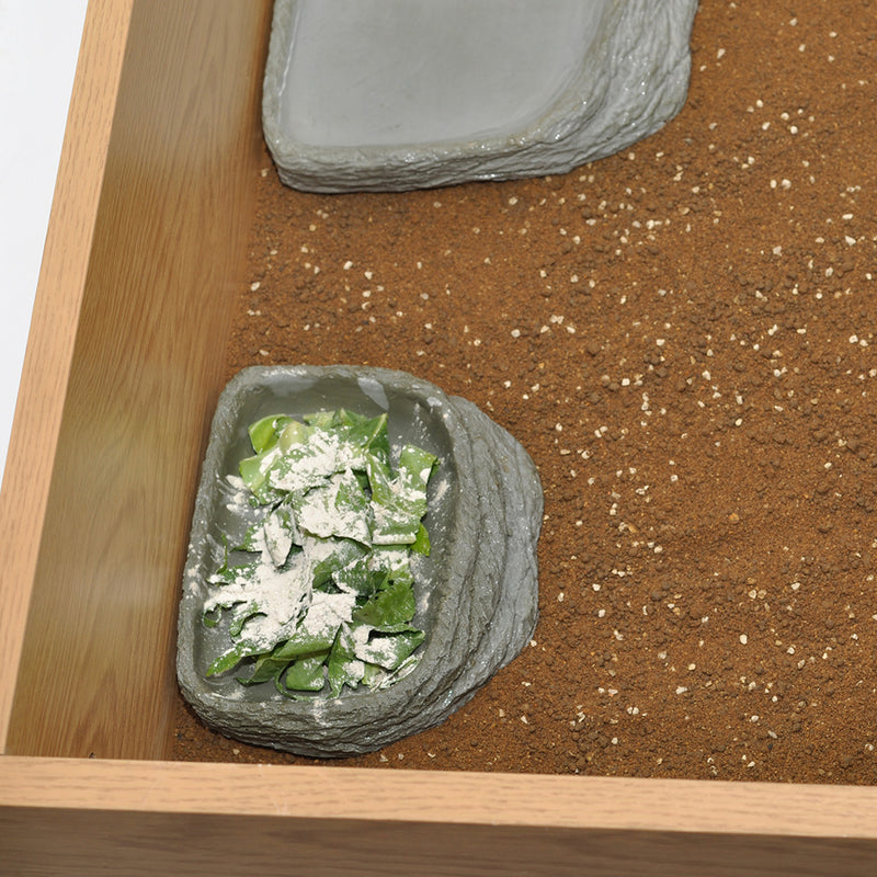HabiStat Tortoise Pool, Small