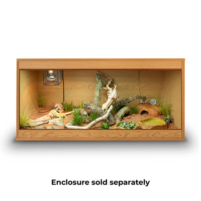 HabiStat Bearded Dragon Accessory Kit