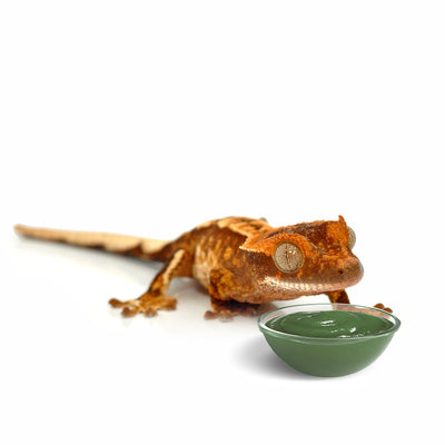 HabiStat Crested Gecko Diet, Banana, 60g