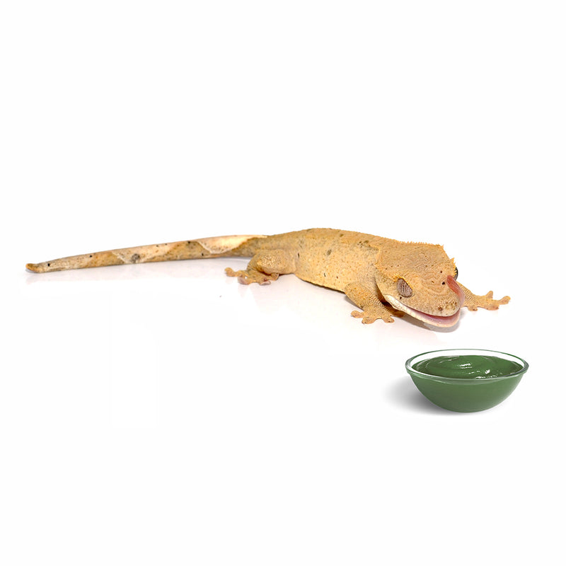HabiStat Crested Gecko Diet, Banana and Cricket, 60g
