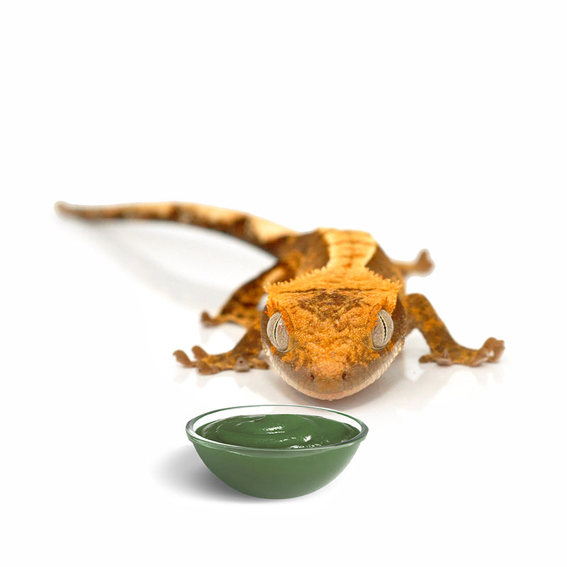 HabiStat Crested Gecko Diet, Mango, 60g