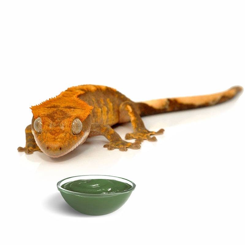 HabiStat Crested Gecko Diet, Mango and Cricket, 60g