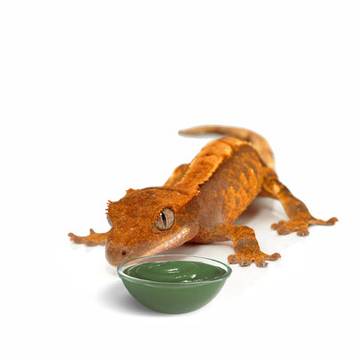 HabiStat Crested Gecko Diet, Strawberry, 60g