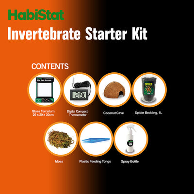 HabiStat Invertebrate Starter Kit