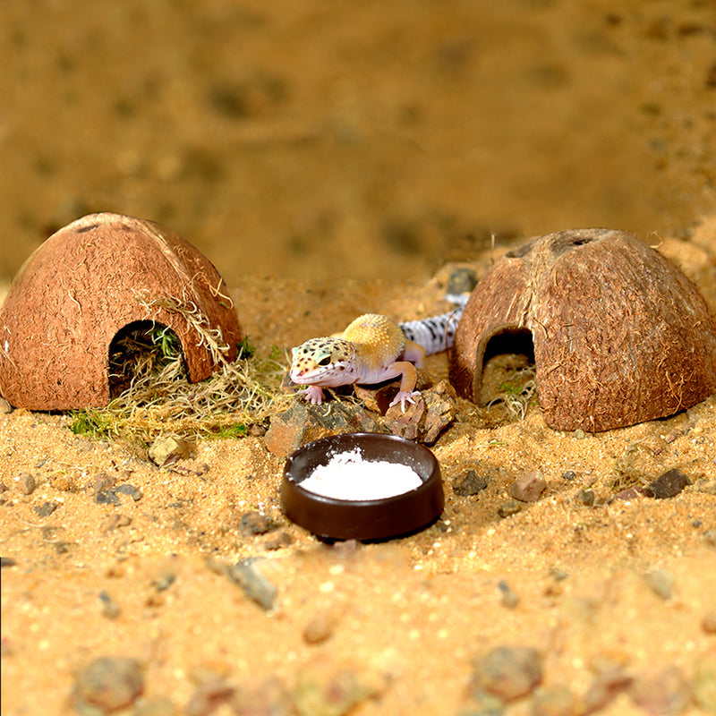 HabiStat Leopard Gecko Starter Kit