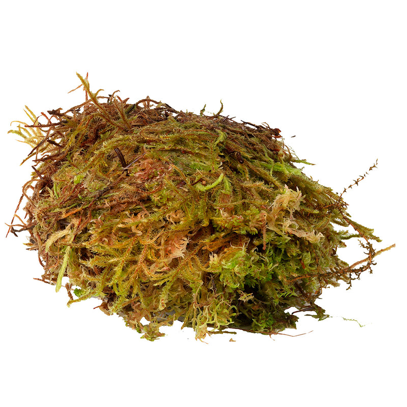 HabiStat Sphagnum Moss, 250g