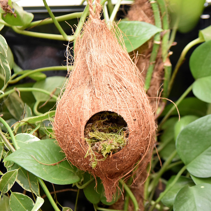 HabiStat Arboreal Hide