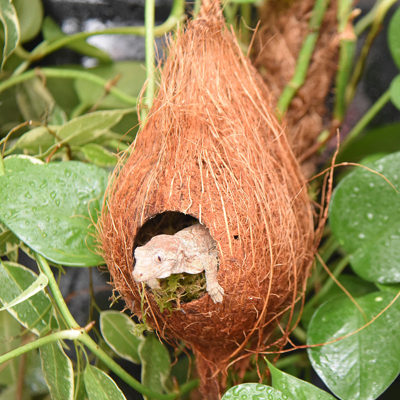 HabiStat Arboreal Hide