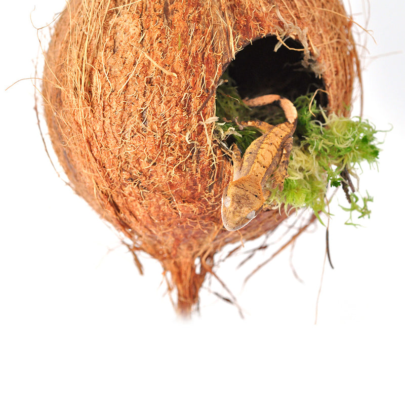 HabiStat Arboreal Hide