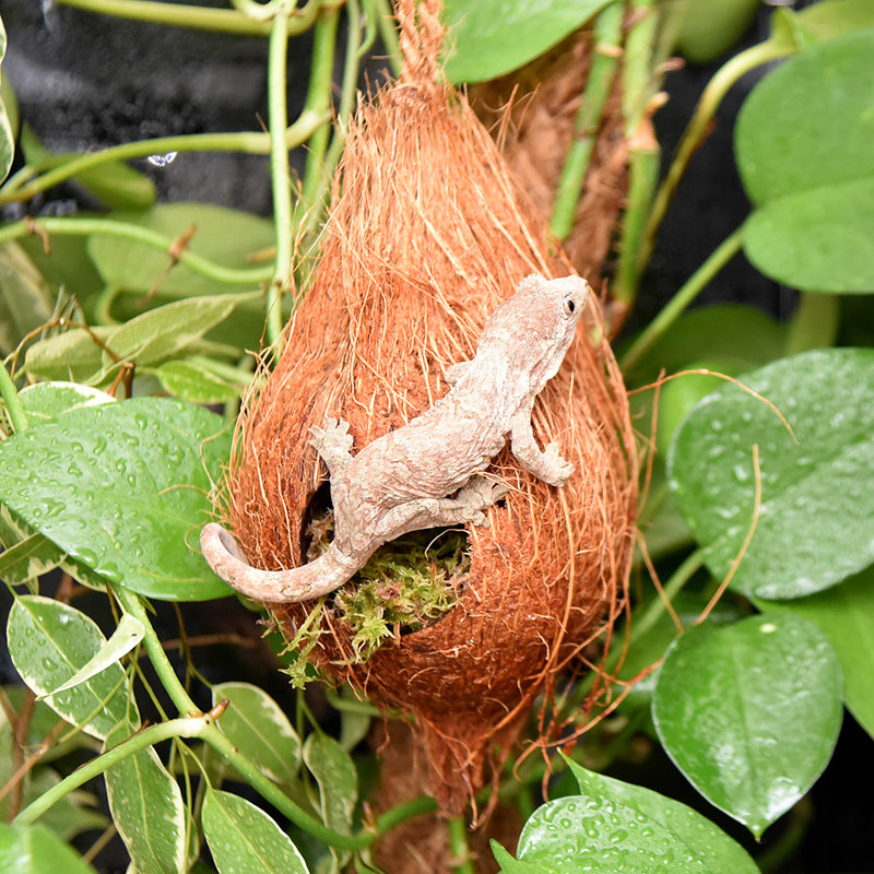 HabiStat Arboreal Hide