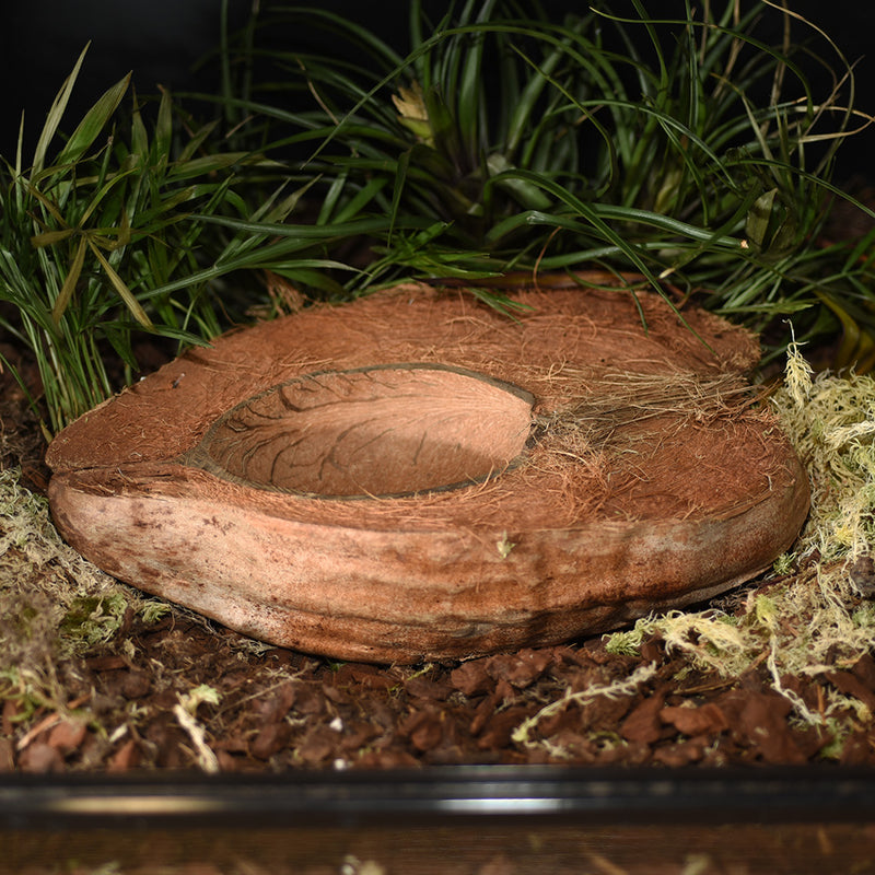 HabiStat Coco Bowl