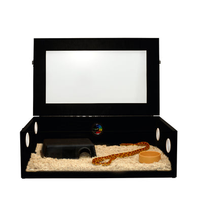 HabiStat Hatchling Snake Starter Kit, Oak