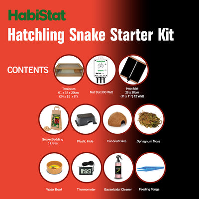HabiStat Hatchling Snake Starter Kit, Oak