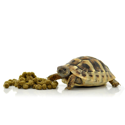 HabiStat Tortoise Food Meadow Mix, 200g