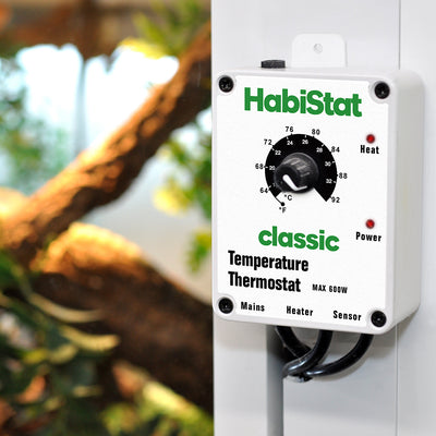 HabiStat Temperature Thermostat, White, 600 Watt