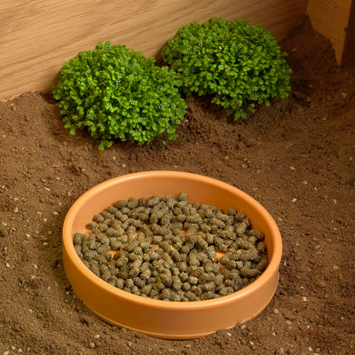 HabiStat Plastic Shallow Water Bowl