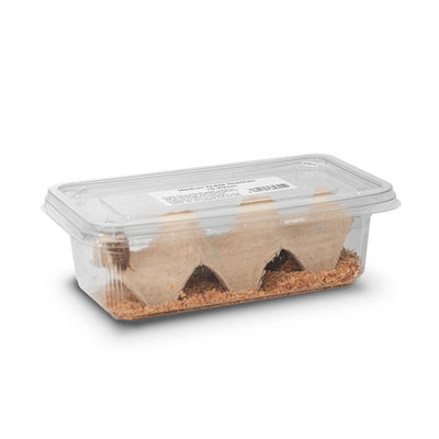 Dubia Roaches, Medium (15-20mm), 12 Pack