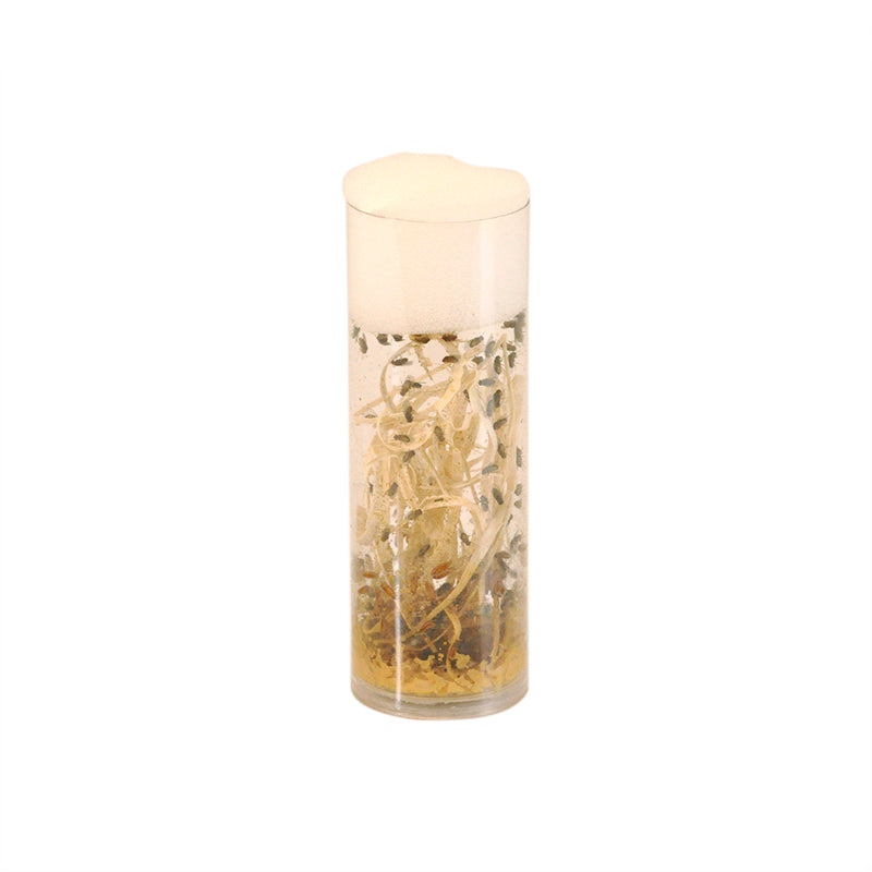 Large Fruit Fly, Tube
