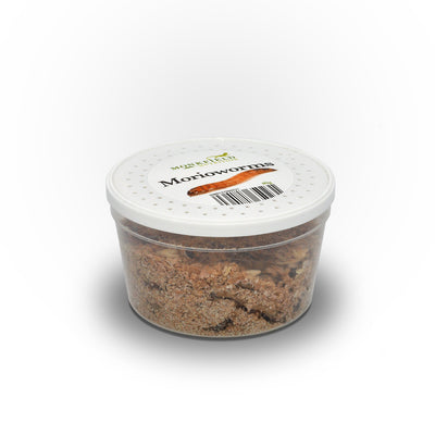 Morioworms, 40-50mm, 40g Tub