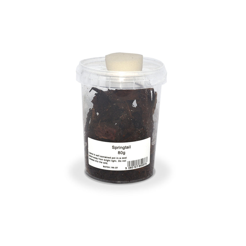 Springtails, 80g Tub