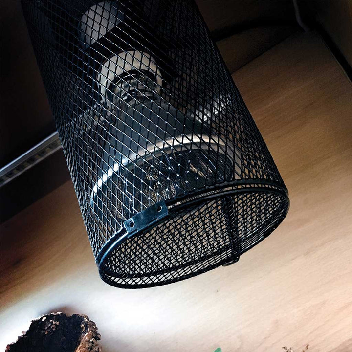 Arcadia Deep Heat Projector 80 Watt