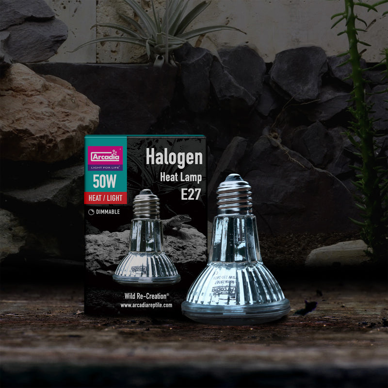 Arcadia Halogen Basking Spot (E27), 50 Watt