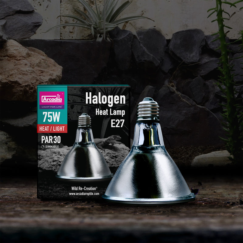 Arcadia Halogen Basking Spot (E27), 75 Watt