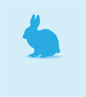 Rabbit, Small, <500g, Individual