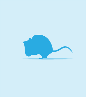 Jumbo Mice, >31g, 5 Pack