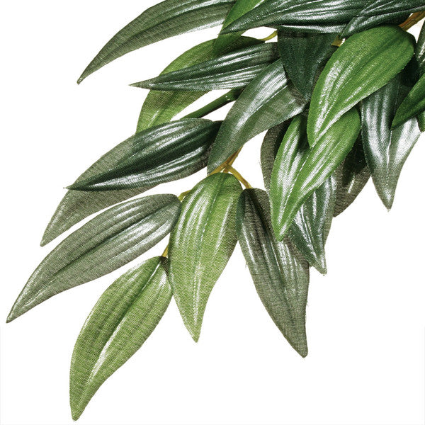 Exo Terra Ruscus Silk Plant, Small