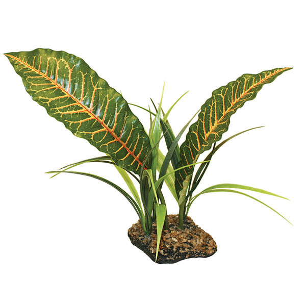 Komodo Tropical Canopy, 31cm (12")