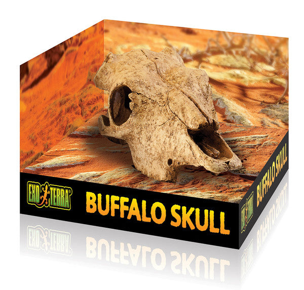 Exo Terra Buffalo Skull, Medium