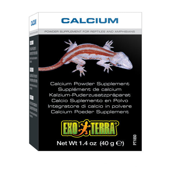 Exo Terra Calcium Powder Supplement, 40g