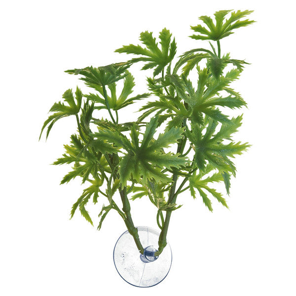 Zoo Med Amazonian Phyllo Plant, Large, 56cm (22.05")