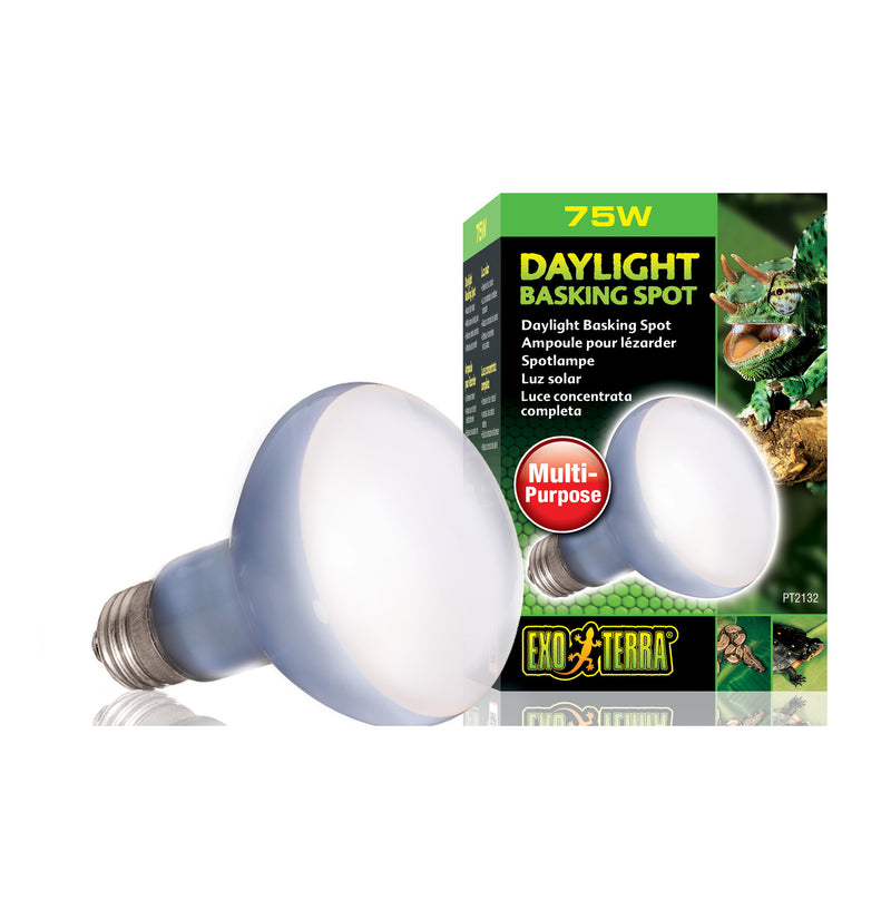 Exo Terra Daylight Basking Spot, 75W