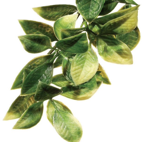 Exo Terra Mandarin Plastic Plant, Medium