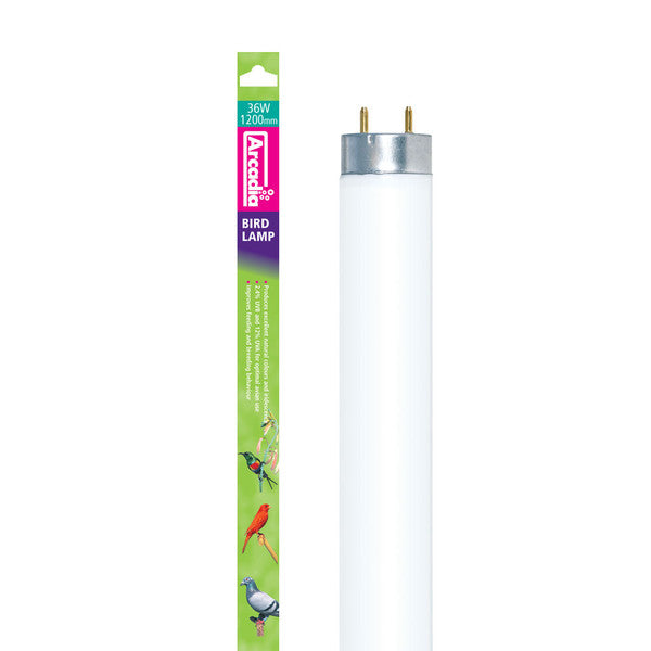 Arcadia Bird Lamp, 2.4% T8 UVB Lamp, 120cm (48"), 36 Watts