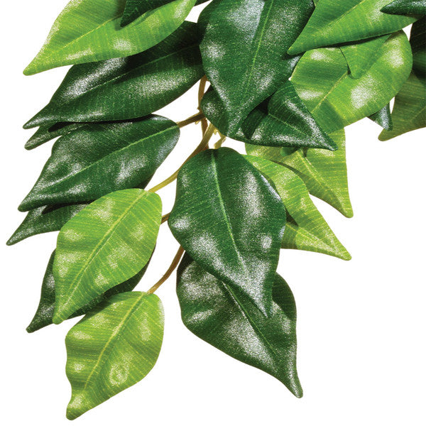 Exo Terra Ficus Silk Plant, Medium