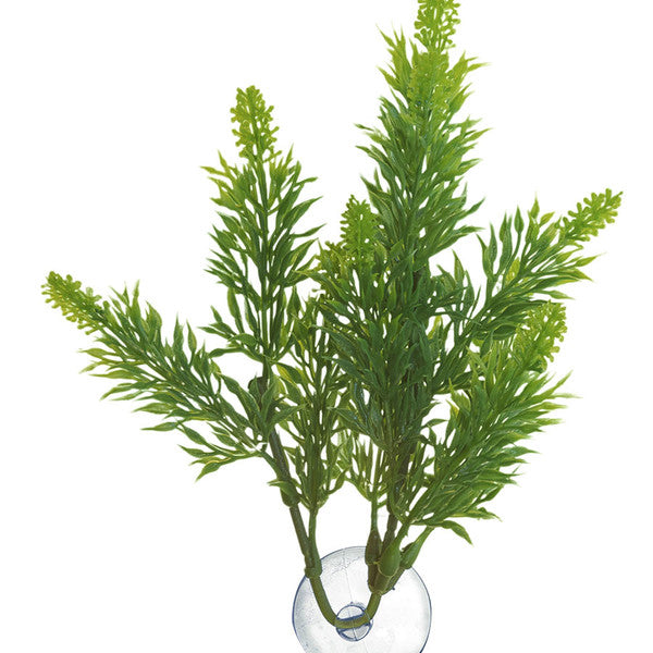 Zoo Med Malaysian Fern Plant, Large, 56cm (22.05")