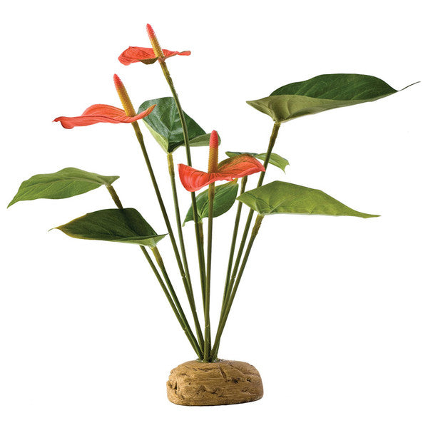 Exo Terra Anthurium Bush