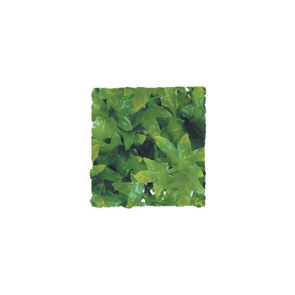 Zoo Med Congo Ivy Plant, Medium, 46cm (18.11")