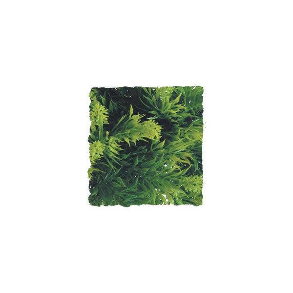 Zoo Med Malaysian Fern Plant, Small, 36cm (14.2")