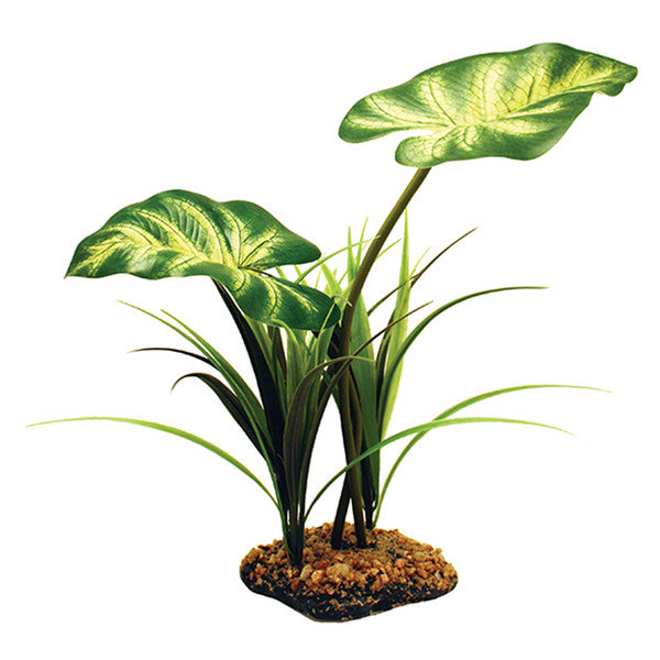 Komodo Broadleaf Canopy, 26cm (10")