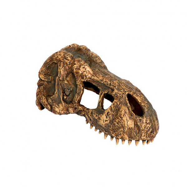 Exo Terra T Rex Skull, Small