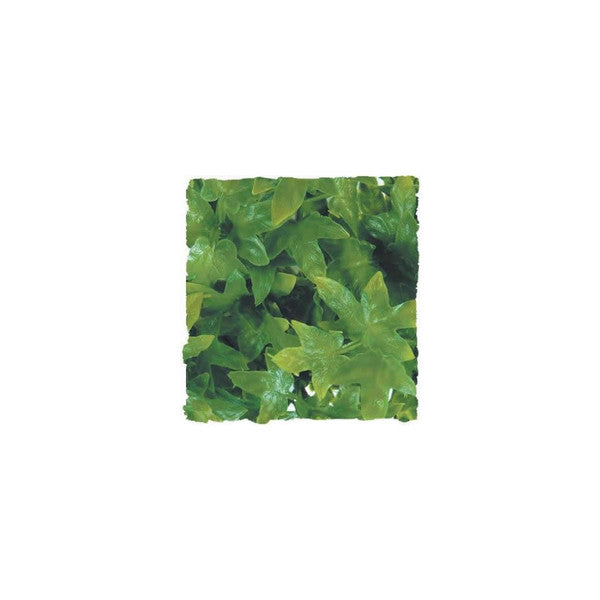 Zoo Med Congo Ivy Plant, Small, 36cm (14.2")