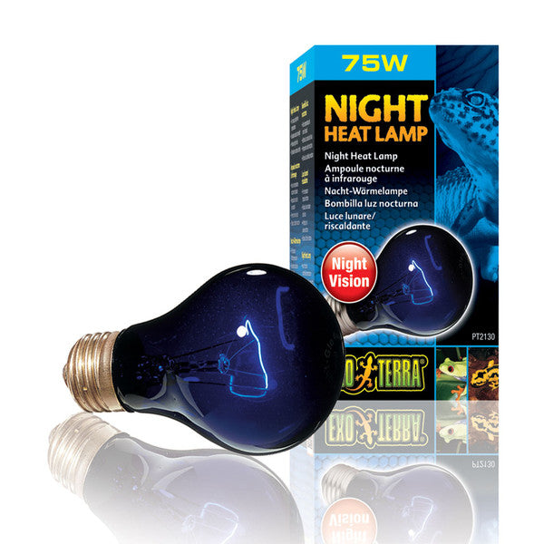 Exo Terra Night Heat Lamp A19, 75W