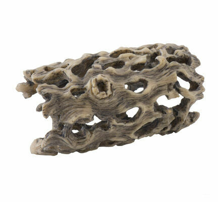 Exo Terra Cholla Cactus Skeleton, Small